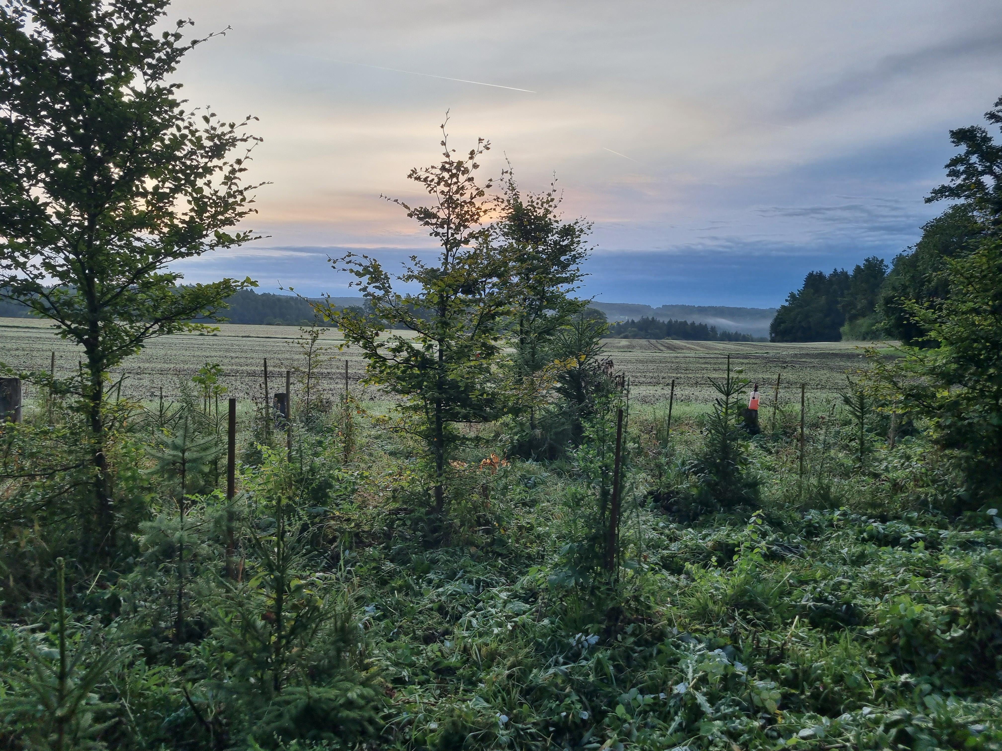 20250913_073630 1.jpg